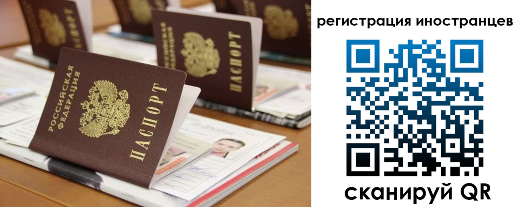 пропишу в квартире в Михайловке