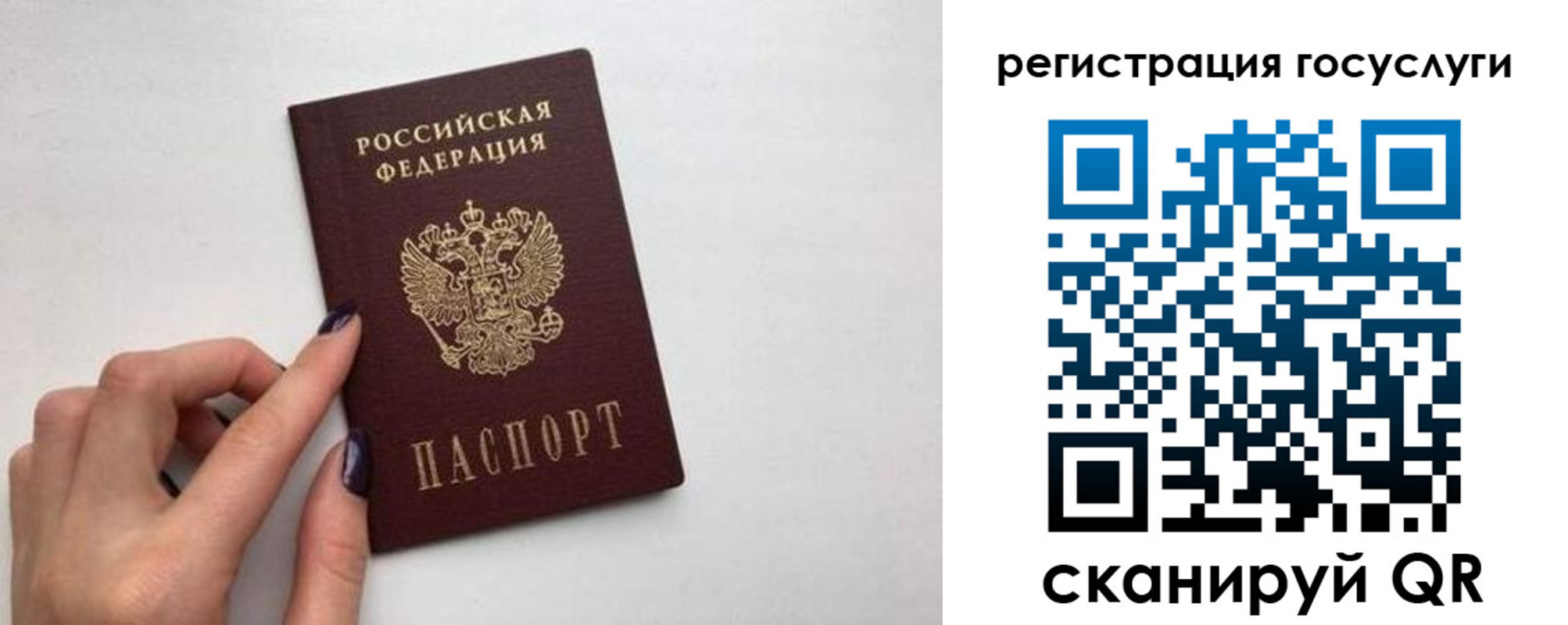 временная регистрация гарантия в Михайловке
